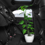 Honda HR-V - Interior - Tall Mode